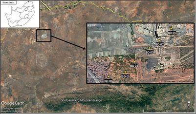 Anthropogenic Light, Noise, and Vegetation Cover Differentially Impact Different Foraging Guilds of Bat on an Opencast Mine in South Africa